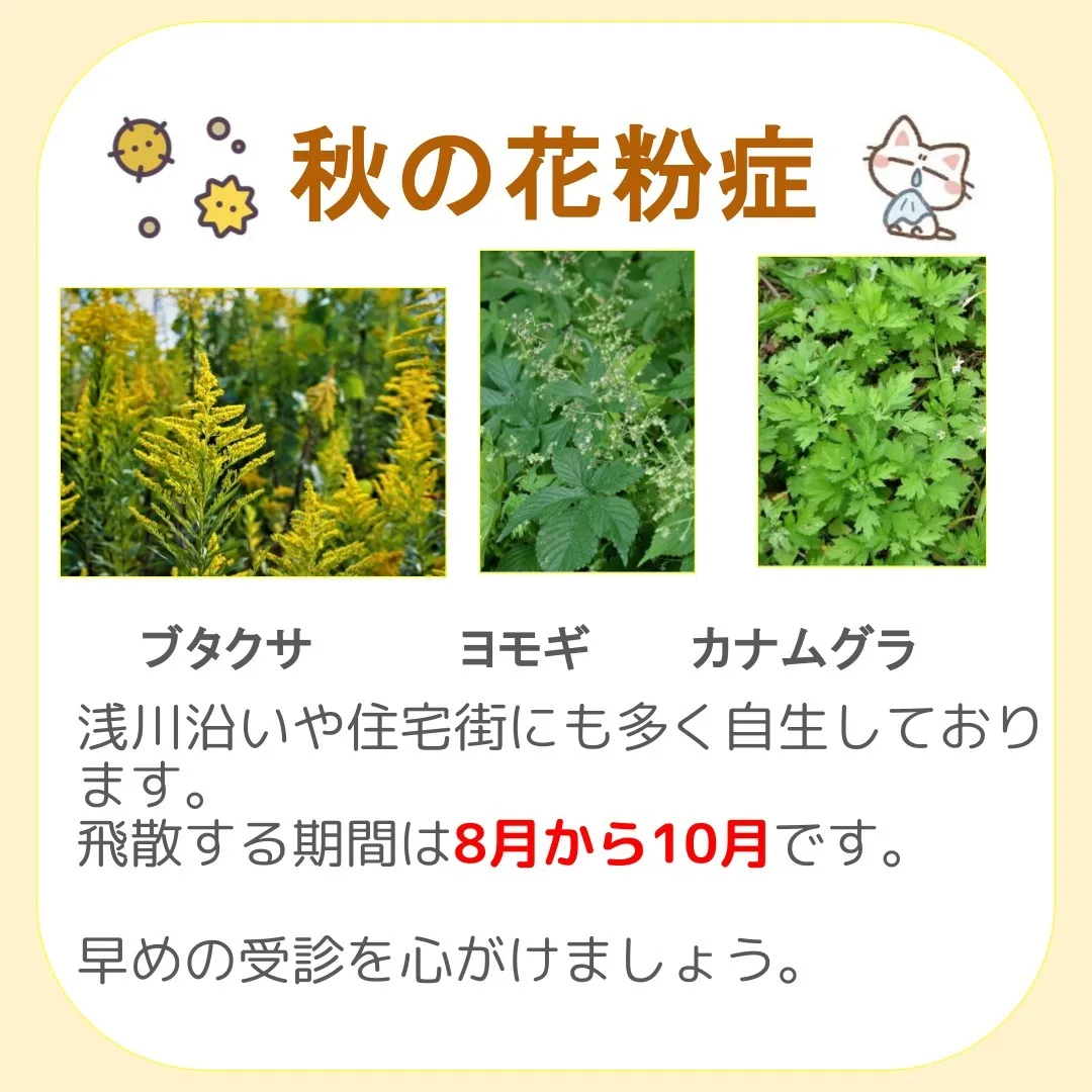 【秋の花粉症にご注意ください】